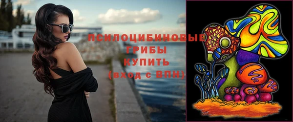 спиды Алзамай