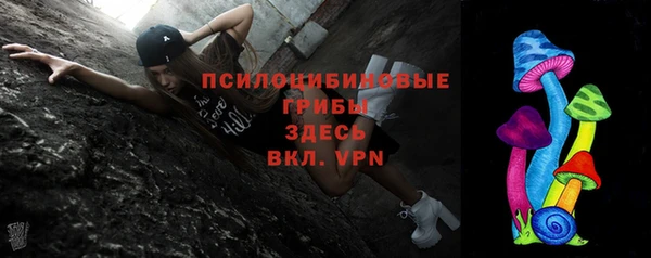 сатива Алексин