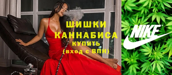 сатива Алексин