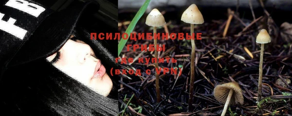 спиды Алзамай